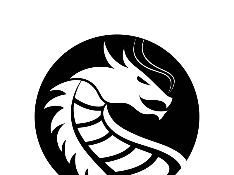 Dragon vector icon illustration design logo template