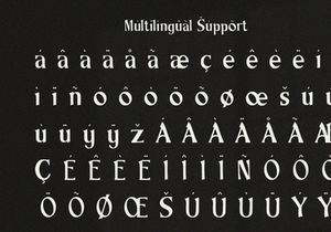 Boniface - Display Serif Font