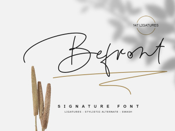 Befront Signature Font preview picture