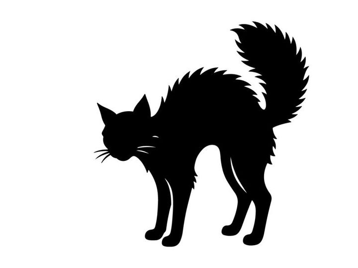 Silhouette of a Black Cat with Fluffy Tail in Side Profile