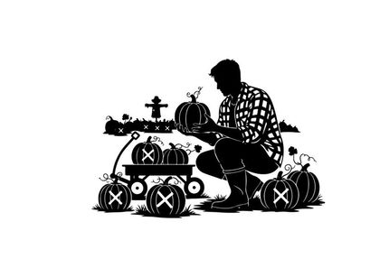 Silhouette of a man picking pumpkins in a patch at dusk