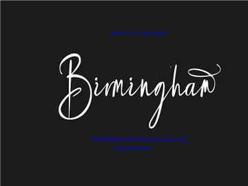 Birmingham preview picture