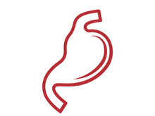 Stomach logo