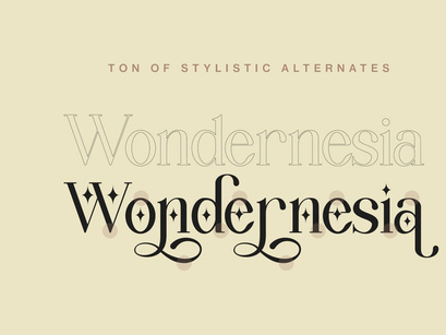 Wondernesia Nostalgic & Modern Serif