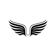 Wing illustration logo and symbol vector