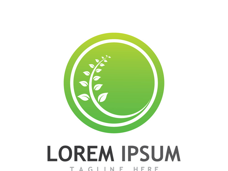 Natural green leaf logo design.