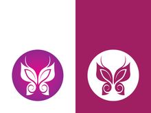 Beauty butterfly vector icon design
