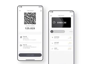 Qpayer v1.0 - Payment Gateway Solution
