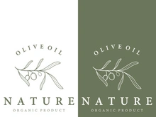 Hand drawn Botanical logo,leaf and natural olive fruit .Herbal, olive oil,cosmetic or beauty.