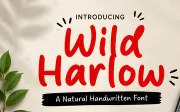 Wild Harlow