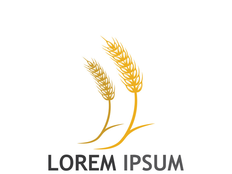 Organic wheat farm logo template.