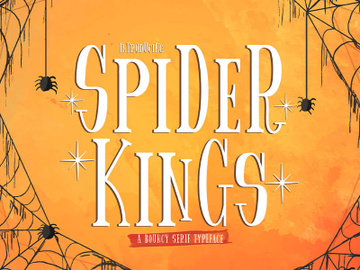 Spider King - Beautiful Serif Font preview picture