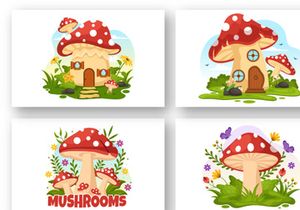 13 Mushrooms Design Illustration