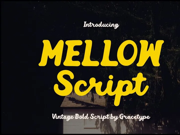 Mellow Script | Vintage Bold Script
