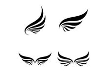 Black wing falcon bird logo