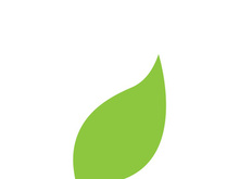 Leaf logo vector icon design template