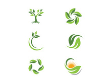 Green Tree leaf ecology nature element