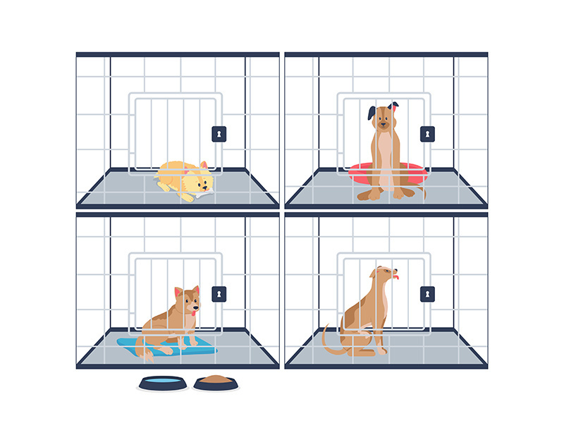 Homeless dogs in shelter cages flat color vector detailed characters