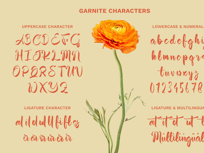 Garnite - Handwritten Script Font