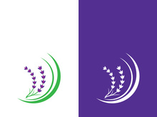 Fresh lavender flower logo vector flat design