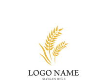 Wheat logo vector icon illustration design