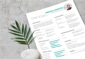 Elegant CV Resume Template - Senior Accounting