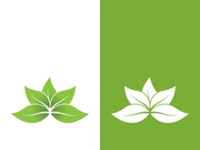 Logos of green tree leaf ecology nature element vector