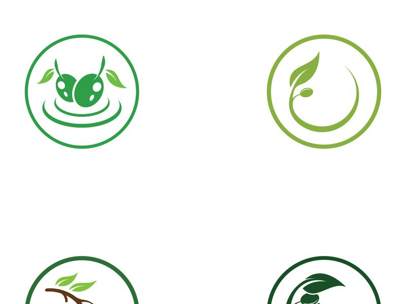 Olive fruit logo design.