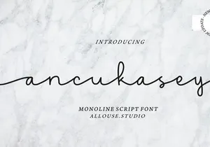 Ancukaseyo - Monoline Script Font