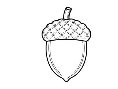 Close-up of an acorn with textured cap. Natural autumnal seed in detailed view.