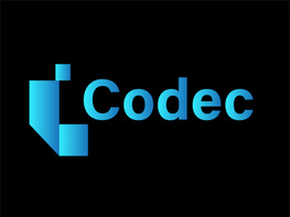 Modern Codec Logo Design – Sleek & Professional preview picture
