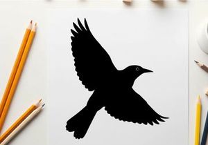 Silhouette of a bird in flight with wings spread wide
