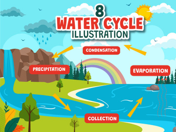 8 Water Cycle Illustration preview picture