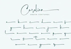 Carolina - Stylish Script Font