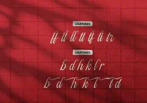 Filagio Vilantio | Classic Elegant Script