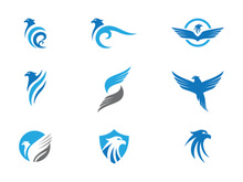 Falcon Logo Template vector