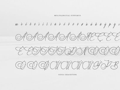 Marseliyon | Elegant Signature Script