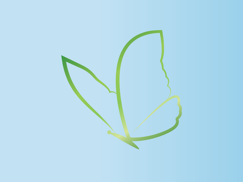Butterfly logo design