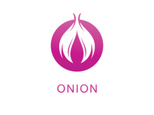 Onion logo vector , red onion icon . illustration Simple onion symbol