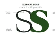 Mount Sagilite – Modern Serif Family Typeface with Variable Font