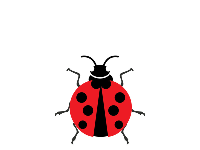 ladybird animal  vector logo symbol icon