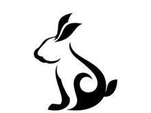 Rabbit logo