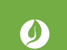 Leaf logo green nature vector image