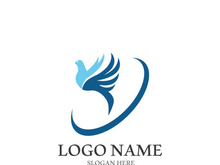Dove bird logo vector design illustration
