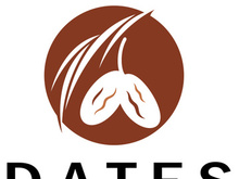 Date palm fruit plant logo design with leaves,seeds and date palm tree isolated background exotic organic plant.