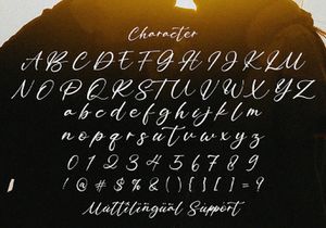 Bitley Anthem - Handwritten Font