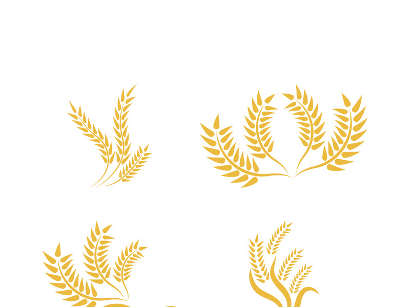 Wheat logo vector icon illustration design