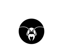 ant head logo