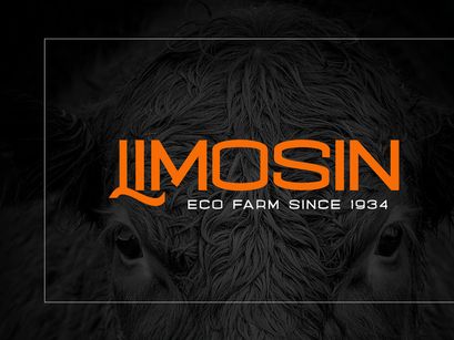 Nalom Sans Serif Typeface Font Family