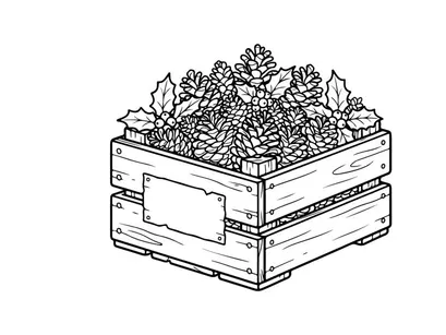 Christmas wooden crate with pine cones and holly leaves line art illustration